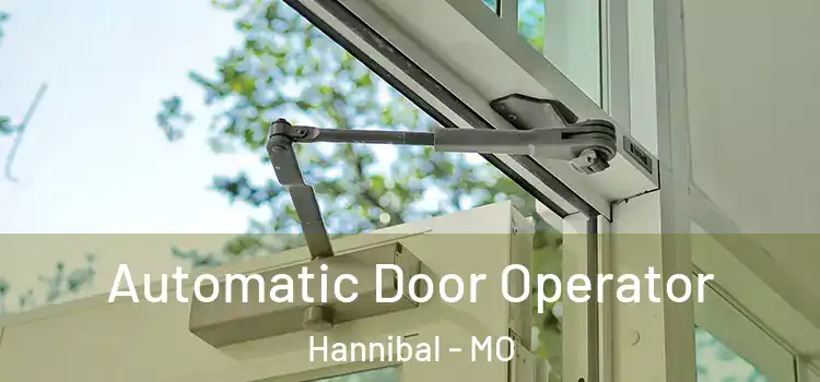  Automatic Door Operator Hannibal - MO