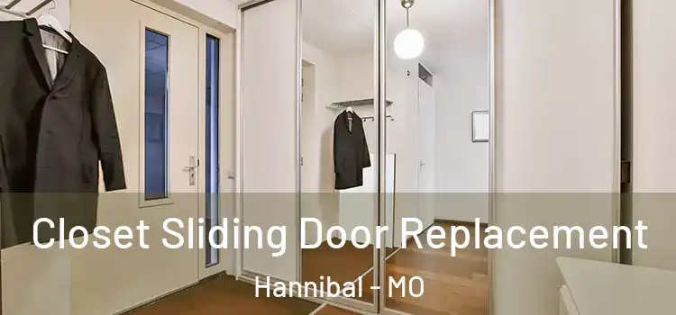  Closet Sliding Door Replacement Hannibal - MO