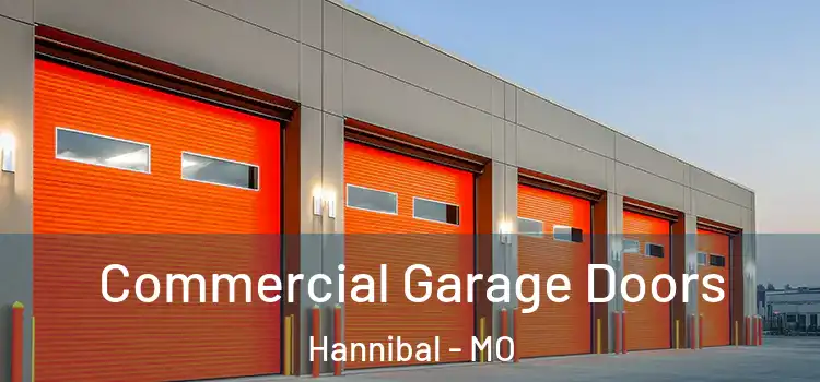  Commercial Garage Doors Hannibal - MO