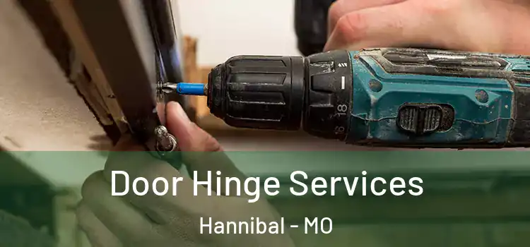 Door Hinge Services Hannibal - MO