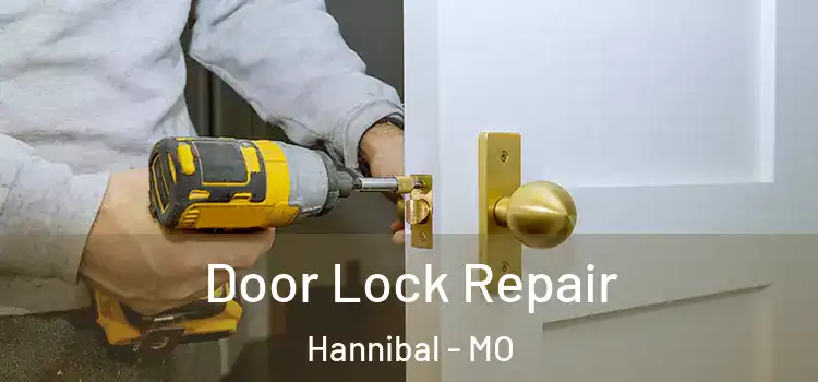  Door Lock Repair Hannibal - MO