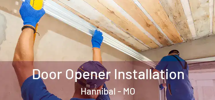  Door Opener Installation Hannibal - MO