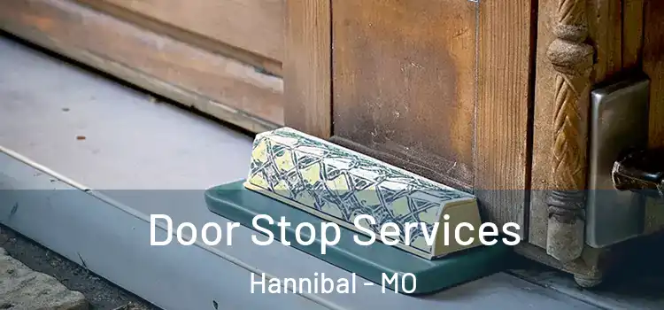 Door Stop Services Hannibal - MO