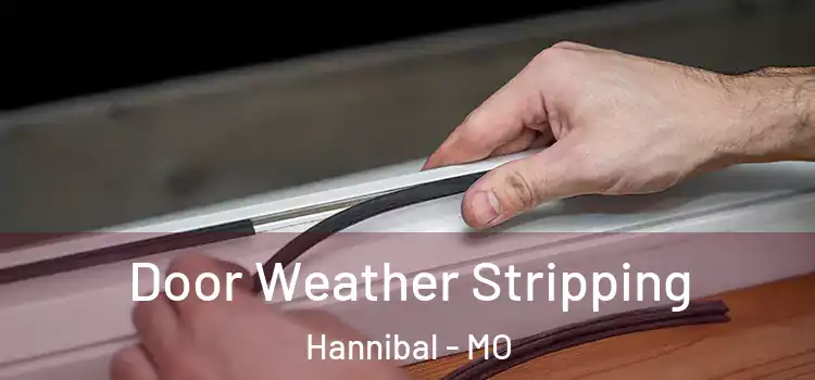  Door Weather Stripping Hannibal - MO