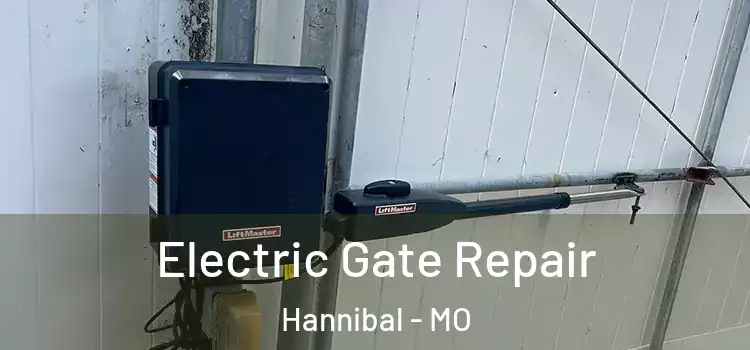  Electric Gate Repair Hannibal - MO