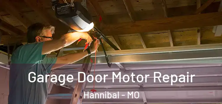  Garage Door Motor Repair Hannibal - MO