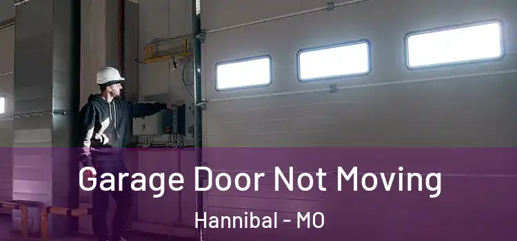  Garage Door Not Moving Hannibal - MO