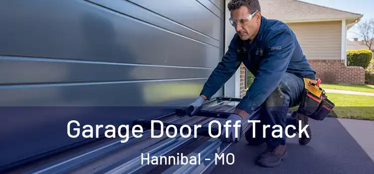  Garage Door Off Track Hannibal - MO