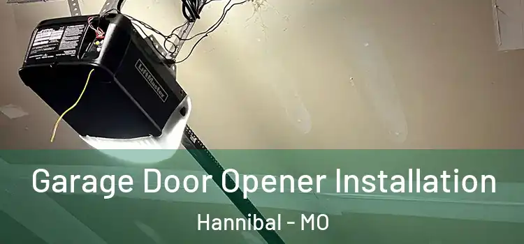  Garage Door Opener Installation Hannibal - MO