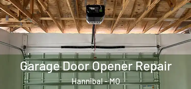 Garage Door Opener Repair Hannibal - MO