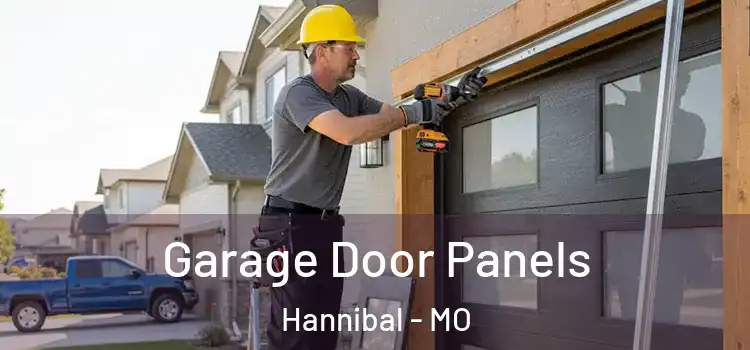  Garage Door Panels Hannibal - MO