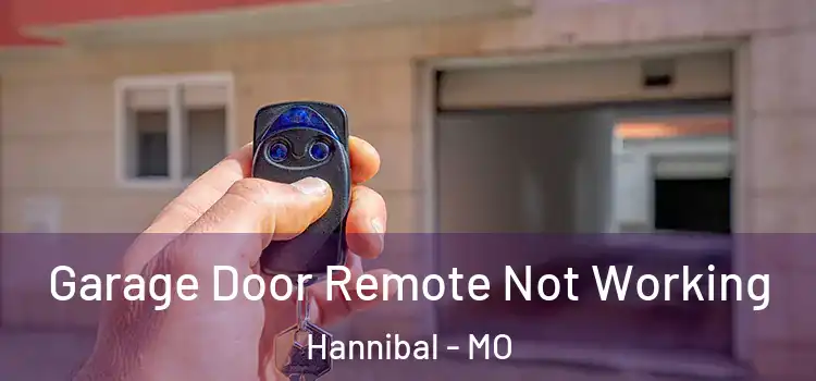  Garage Door Remote Not Working Hannibal - MO