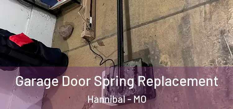  Garage Door Spring Replacement Hannibal - MO