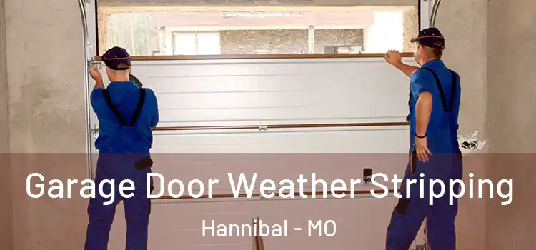 Garage Door Weather Stripping Hannibal - MO