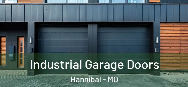  Industrial Garage Doors Hannibal - MO