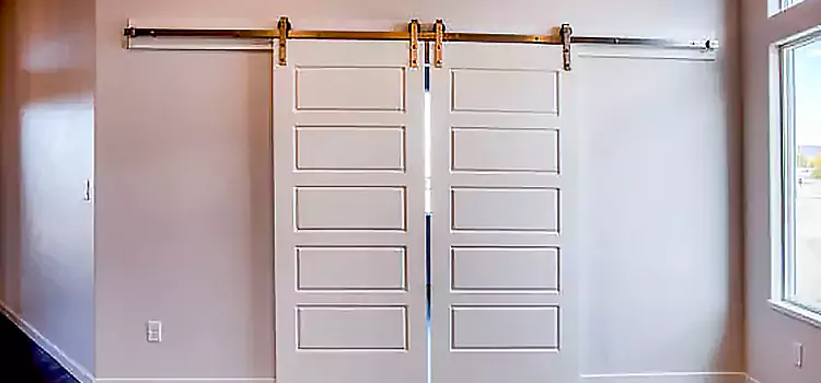 Glass Barn Door with Installation Hardware Kit Hannibal