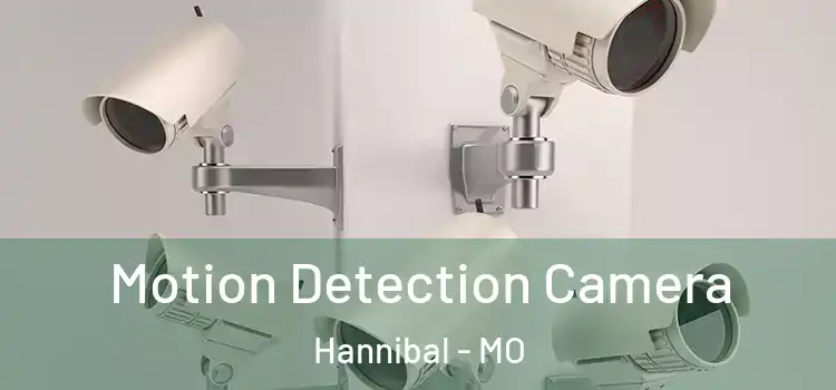  Motion Detection Camera Hannibal - MO