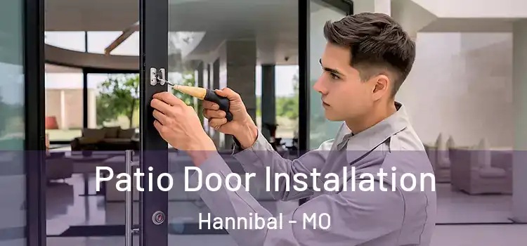  Patio Door Installation Hannibal - MO