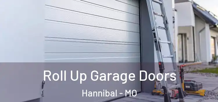  Roll Up Garage Doors Hannibal - MO