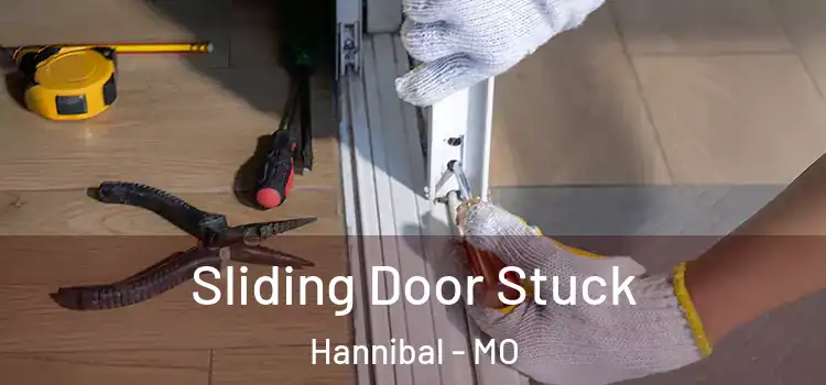  Sliding Door Stuck Hannibal - MO