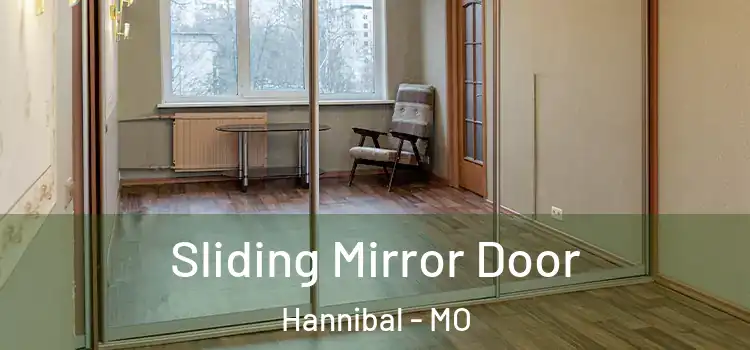  Sliding Mirror Door Hannibal - MO