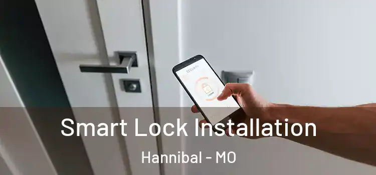 Smart Lock Installation Hannibal - MO