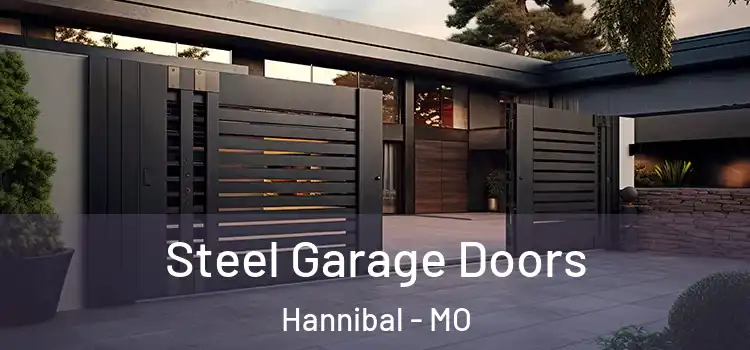  Steel Garage Doors Hannibal - MO