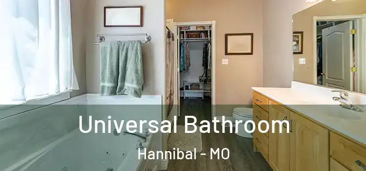  Universal Bathroom Hannibal - MO